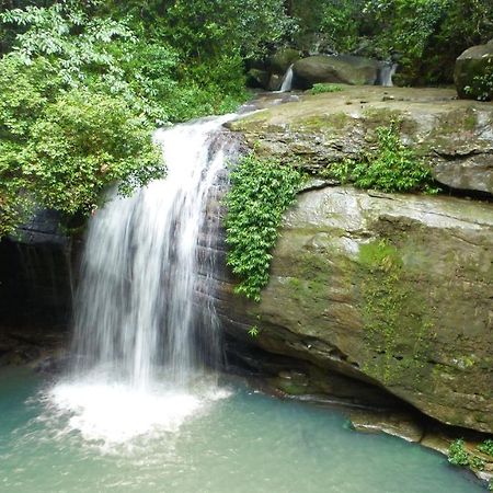 Buderim Forest Hideaway Bed and Breakfast Buitenkant foto