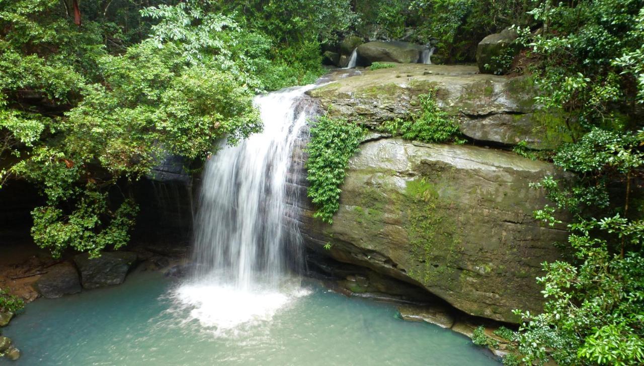 Buderim Forest Hideaway Bed and Breakfast Buitenkant foto