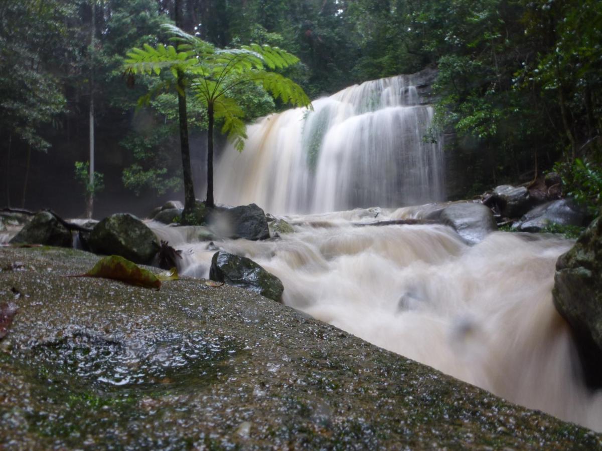 Buderim Forest Hideaway Bed and Breakfast Buitenkant foto