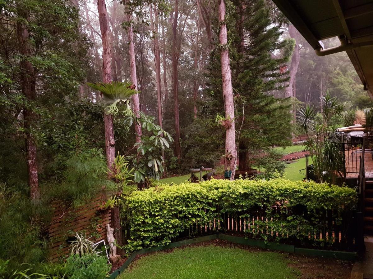 Buderim Forest Hideaway Bed and Breakfast Buitenkant foto